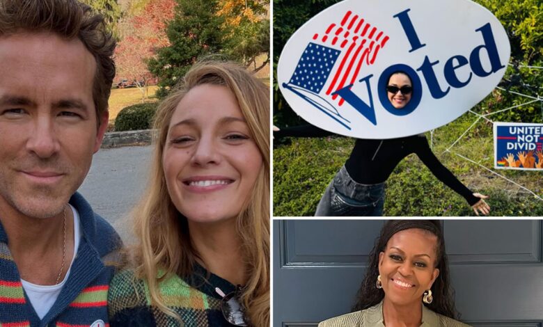 Celebrities are voting in the 2024 elections!