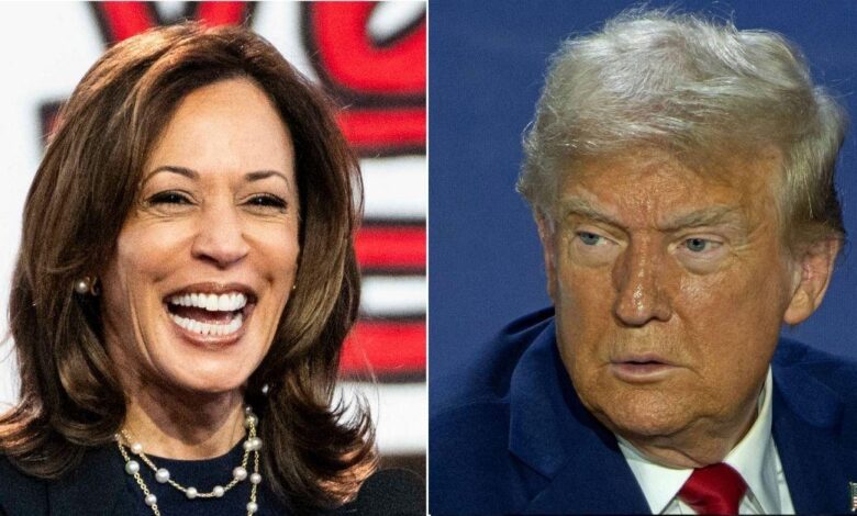 Donald Trump and Kamala Harris look at states in voting battle