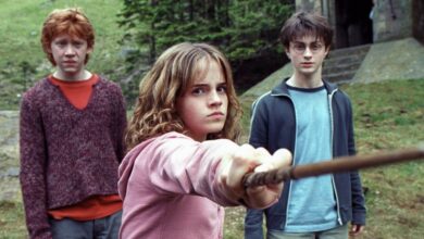 'Harry Potter' prop sold for nearly $300,000 to benefit injured stunt double