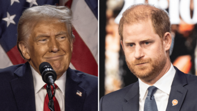 How Donald Trump could kick Prince Harry out of the US over a visa scandal