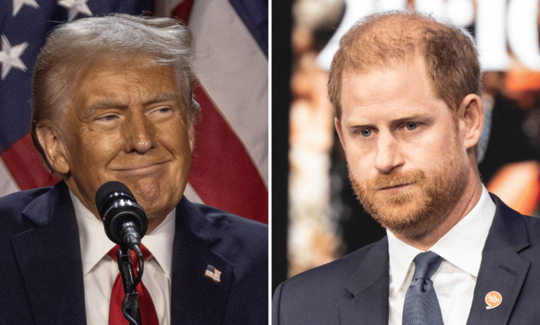 How Donald Trump could kick Prince Harry out of the US over a visa scandal