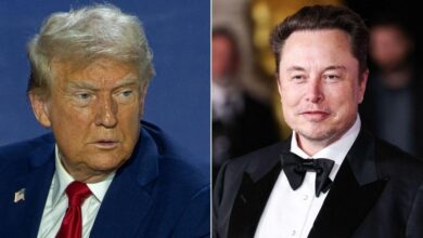 Inside the Monster Compound of Trump Pal Elon Musk, who is artistic.