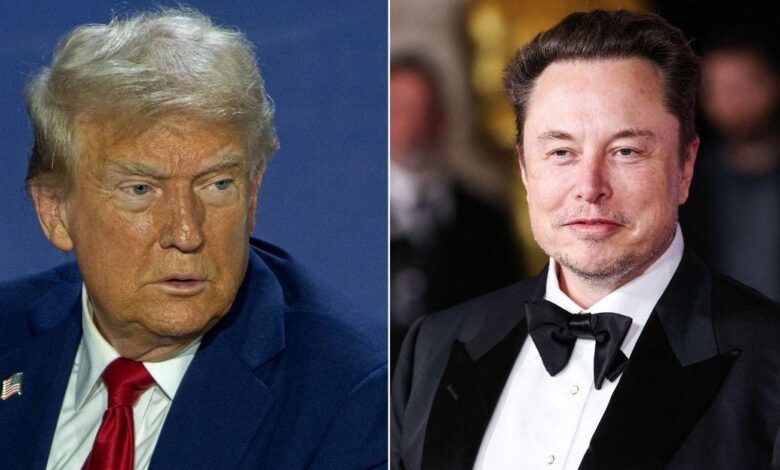 Inside the Monster Compound of Trump Pal Elon Musk, who is artistic.