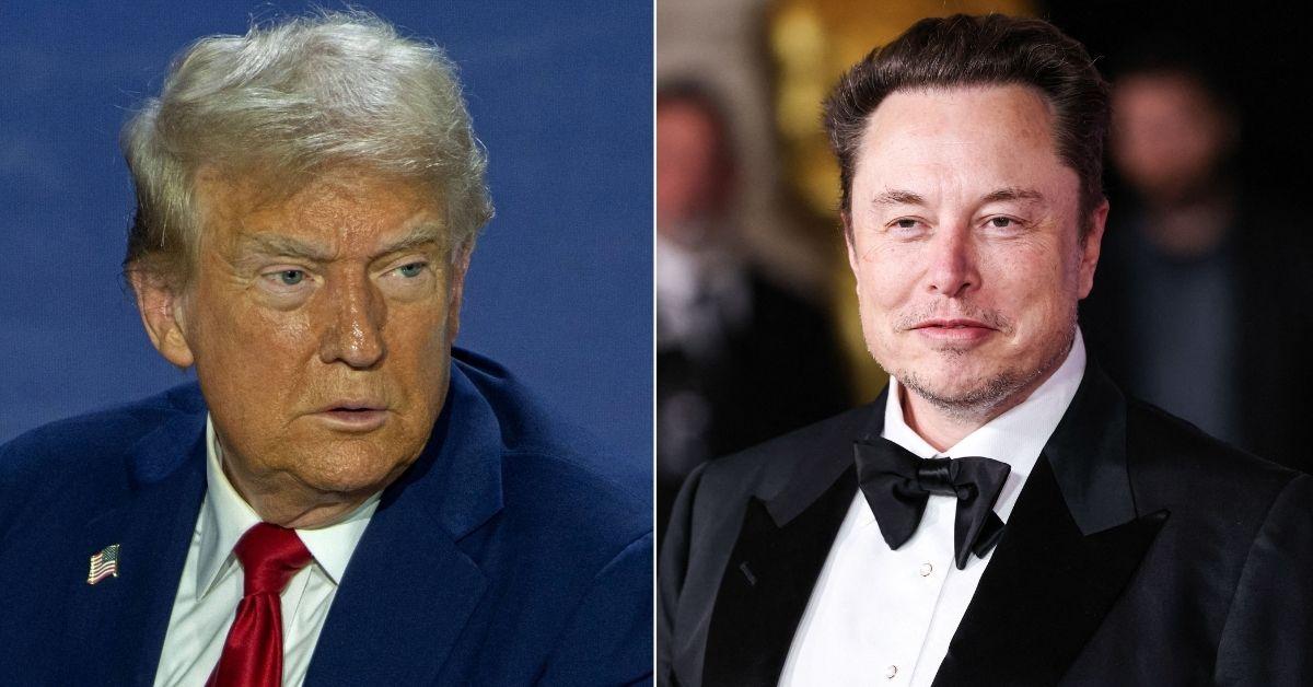 Inside the Monster Compound of Trump Pal Elon Musk, who is artistic.
