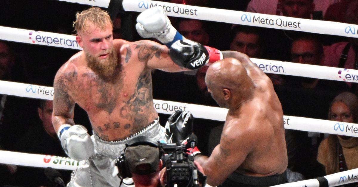 Jake Paul sparked safety fears over endangered pigeon Mike Tyson