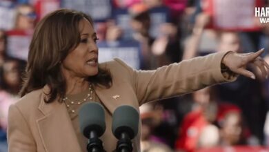 Kamala Harris sends doctors to the person in the crowd during the rally