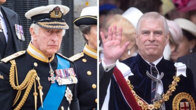 King Charles III and Prince Andrew's feud explained: Finances, scandals