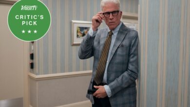 Netflix Sitcom Delights by Ted Danson