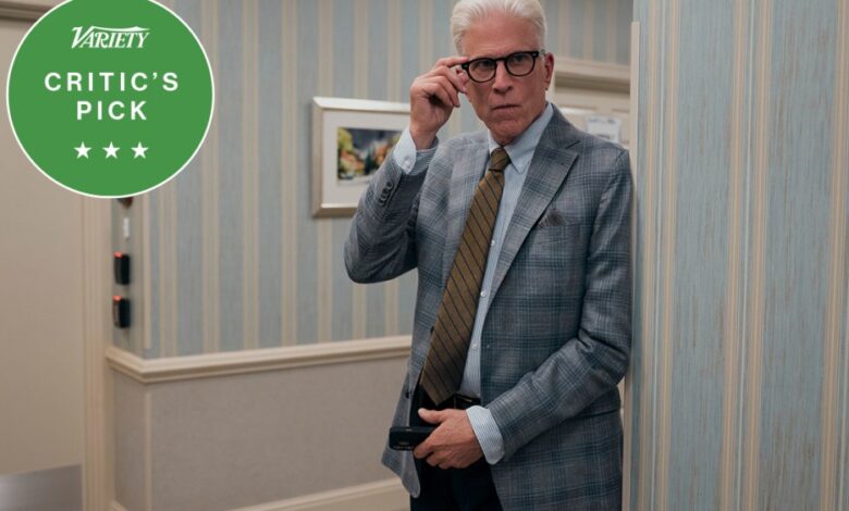 Netflix Sitcom Delights by Ted Danson