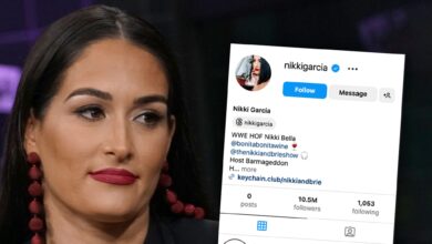 Nikki Bella is wiping Instagram after settling her divorce from Artem Chigvintsev