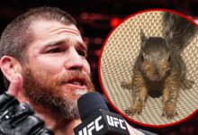 Peanut the Squirrel shouted it out during UFC 309 and 'SNL'