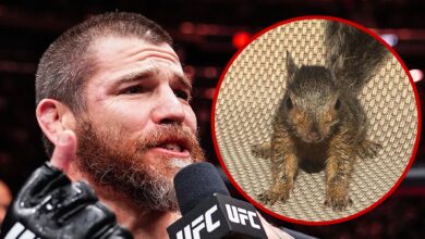 Peanut the Squirrel shouted it out during UFC 309 and 'SNL'