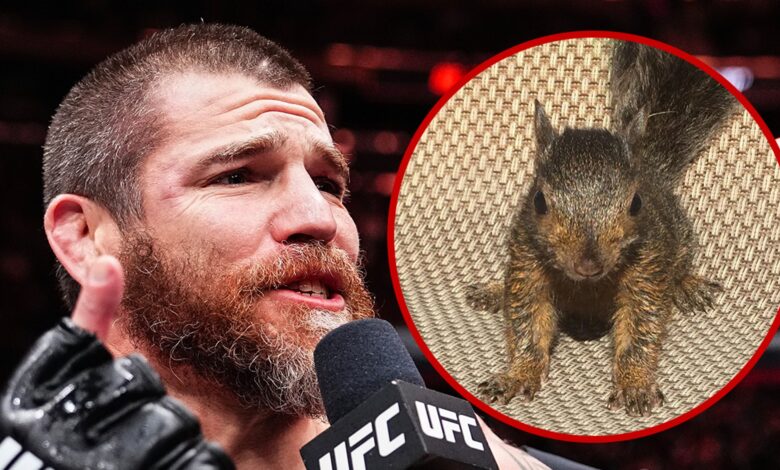 Peanut the Squirrel shouted it out during UFC 309 and 'SNL'