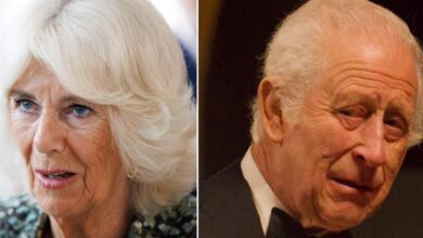 Queen Camilla labels 'evil stepmother' in new TV documentary amid health concerns