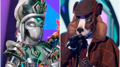 'The Masked Singer' Season 12 Episode 9 Recap: Thanksgiving Reveal