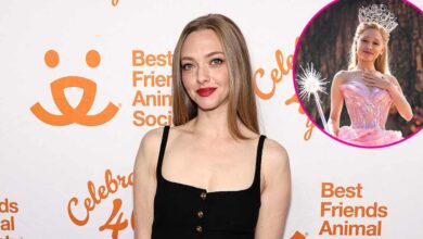 Amanda Seyfried says the viral bad singing video wasn't her audition