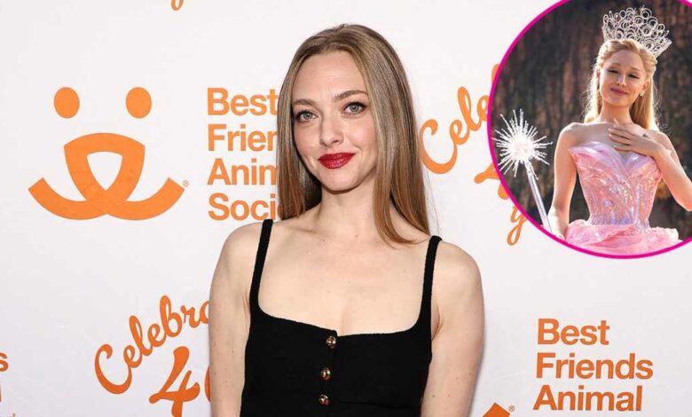 Amanda Seyfried says the viral bad singing video wasn't her audition