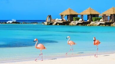 Is Aruba Safe to Visit? Travel Advisory 2025