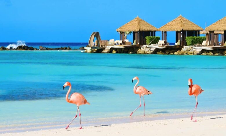 Is Aruba Safe to Visit? Travel Advisory 2025