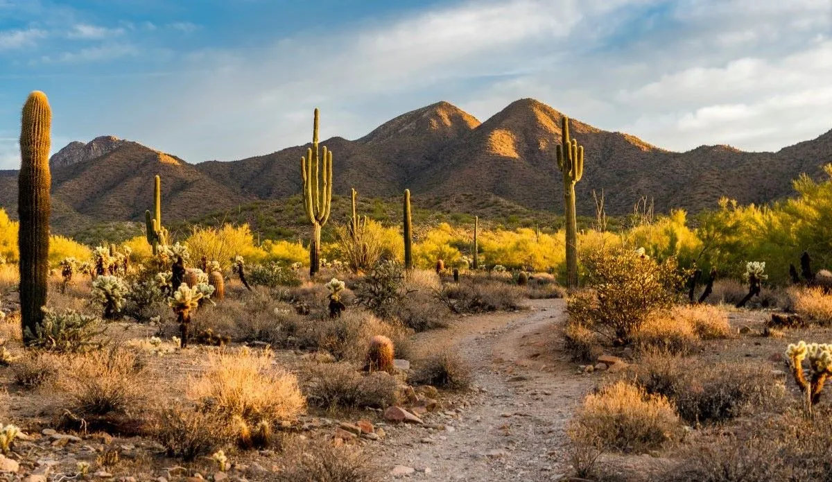 NAR is stepping up its fight against Phoenix Realtors