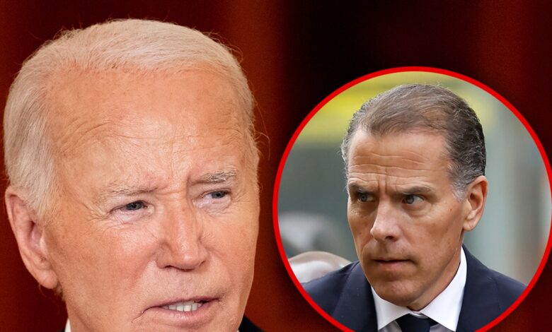 President Biden decided to pardon Hunter months ago