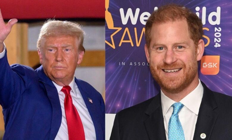 Prince Harry 'panicked after being expelled from the US by Trump'