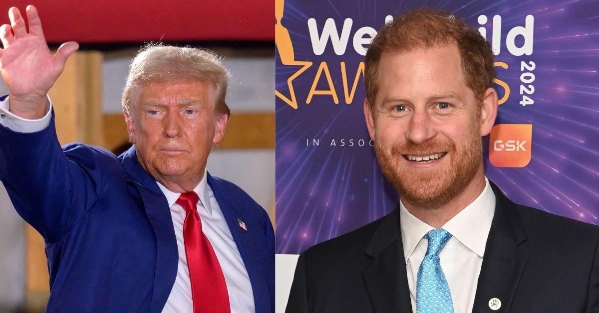 Prince Harry 'panicked after being expelled from the US by Trump'