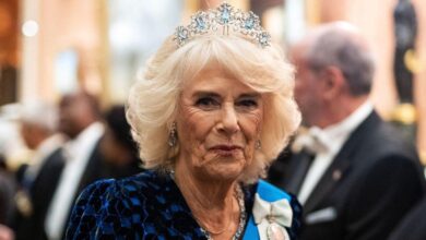 Queen Camilla's lady-in-waiting finds her a royal toilet and cleans the toilet