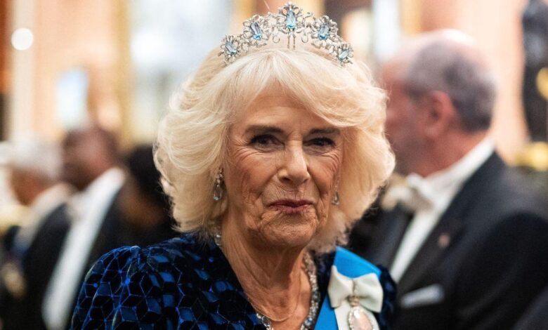 Queen Camilla's lady-in-waiting finds her a royal toilet and cleans the toilet