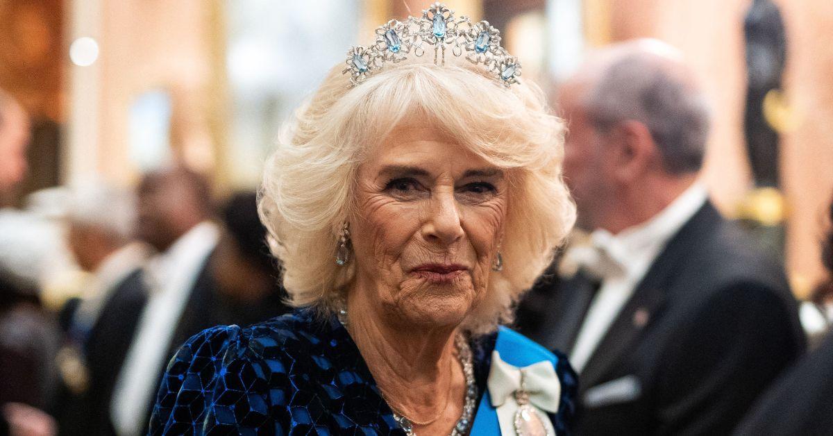 Queen Camilla's lady-in-waiting finds her a royal toilet and cleans the toilet