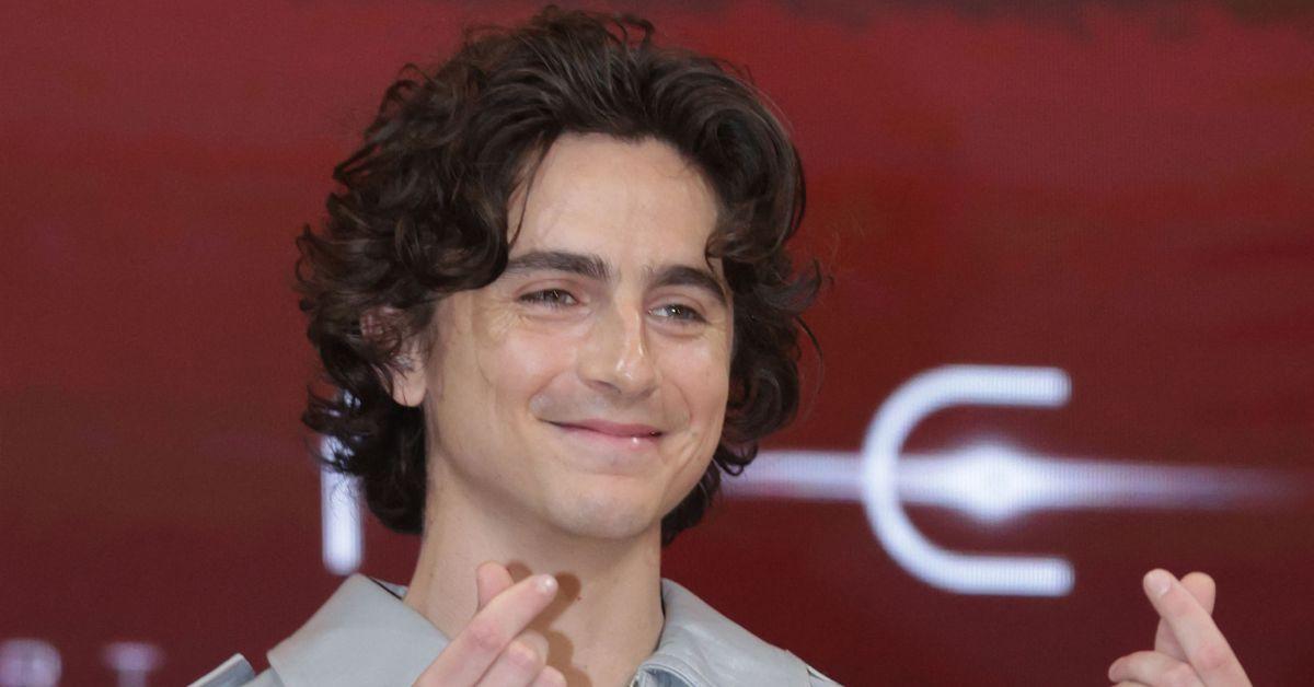 Timothée Chalamet fears insanity because of secret Bob Dylan tapes