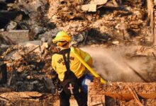 Images of Devastation in Malibu and Pacific Palisades