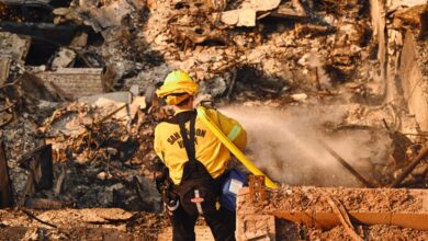 Images of Devastation in Malibu and Pacific Palisades