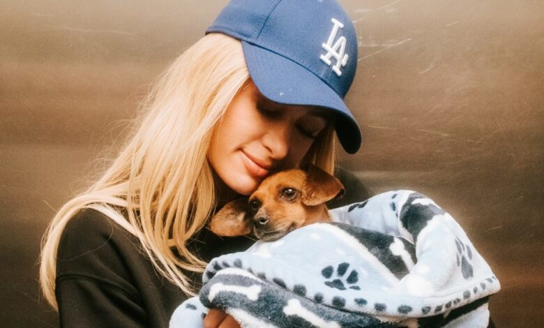 Paris Hilton raises $800,000 for GoFundMe's Wildfire Relief Fund