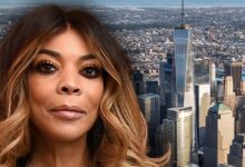 Wendy Williams custody controversy spurs New York senator to push for new law