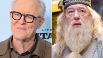 Dumbledore playing in Harry Potter series 'Not Easy Decision'