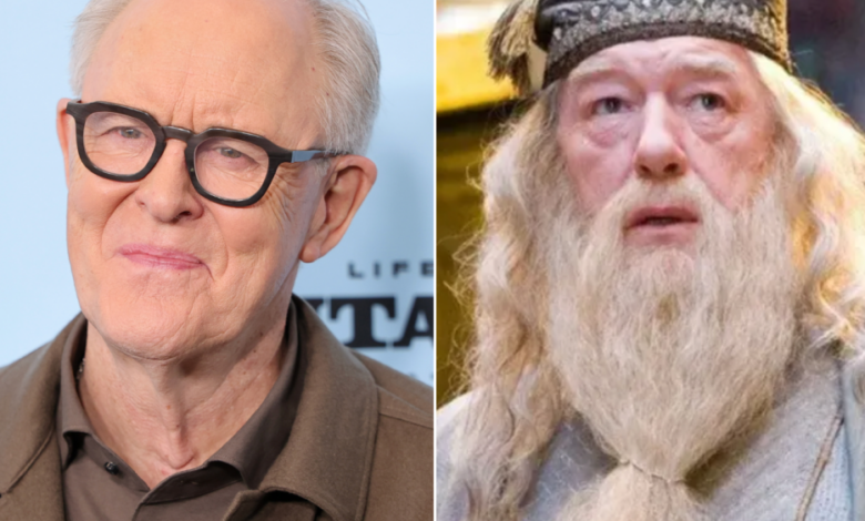 Dumbledore playing in Harry Potter series 'Not Easy Decision'