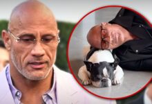 Dwayne 'The Rock' Johnson's French Bulldog Hobbs dies