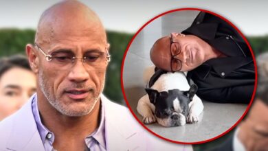 Dwayne 'The Rock' Johnson's French Bulldog Hobbs dies