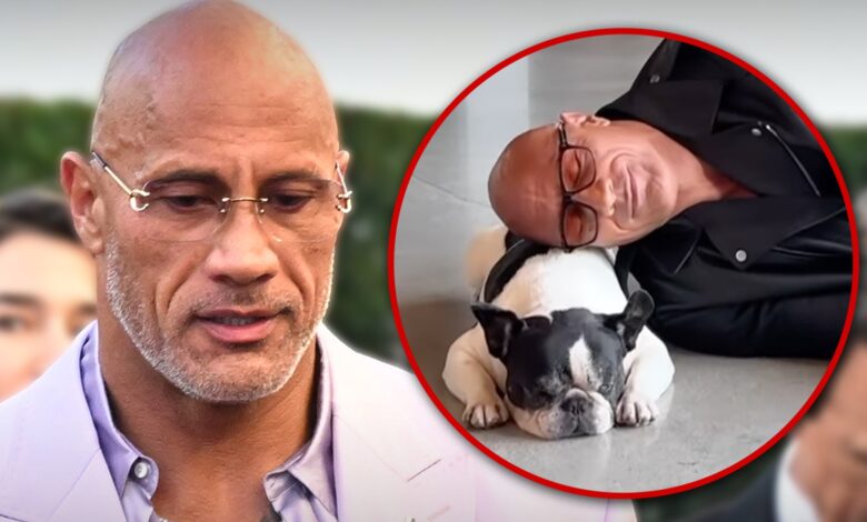 Dwayne 'The Rock' Johnson's French Bulldog Hobbs dies