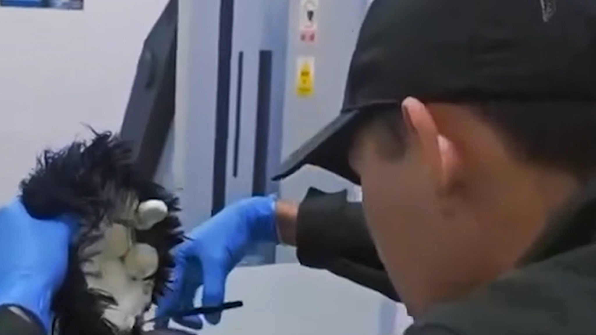 'Narco Wig' Smuggler's $ 10k plan falls flat, caught on Colombia Airport