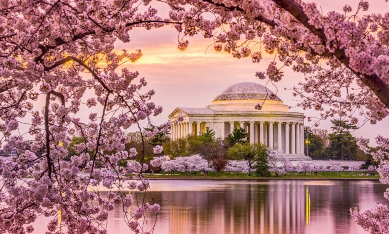 Best Places To Travel In The U.S. in April