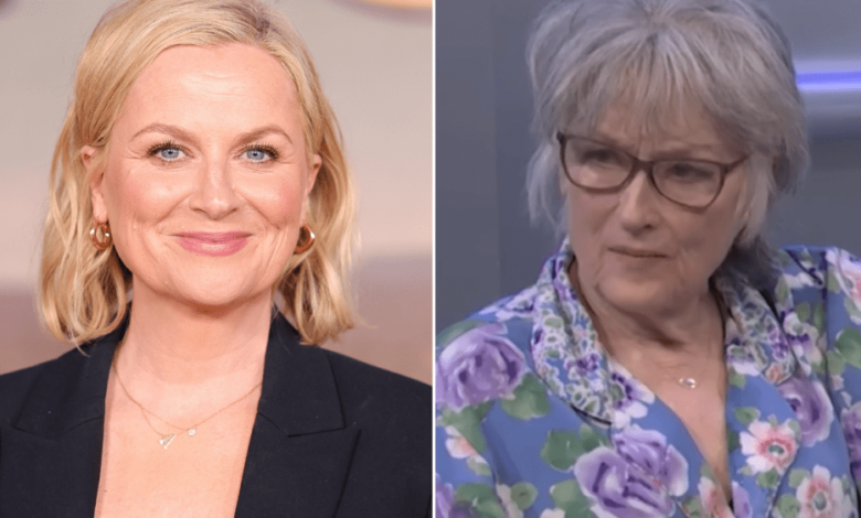 Amy Poehler says that the rehearsal of Meryl Streep 'SNL50' was super serious