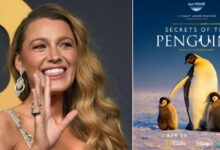 Blake Lively told a new show about penguins to stimulate the bad showbiz image