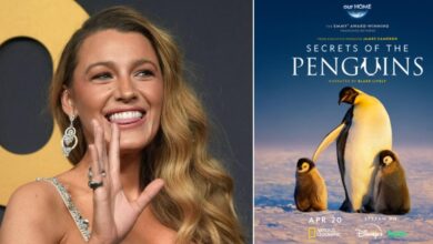 Blake Lively told a new show about penguins to stimulate the bad showbiz image