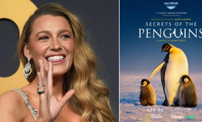 Blake Lively told a new show about penguins to stimulate the bad showbiz image