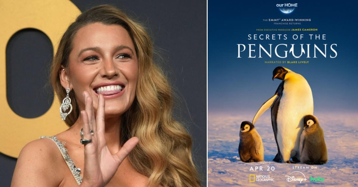 Blake Lively told a new show about penguins to stimulate the bad showbiz image