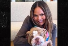 Chrissy Teigen and John Legend Rescue Dog months after their dog died