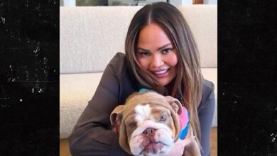 Chrissy Teigen and John Legend Rescue Dog months after their dog died