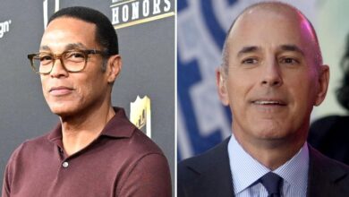 Don Lemon 'in hot water for claiming that Matt Lauer was engaged to loved Shamin Abas'